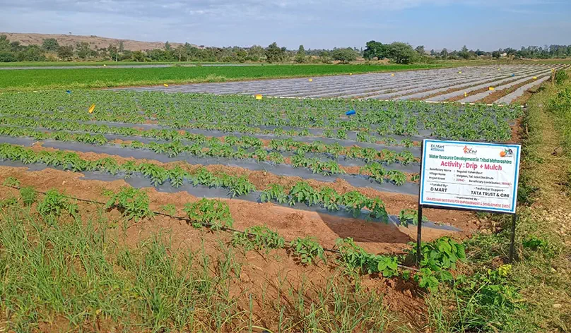 Transforming rainfed agriculture in Maharashtra Transforming rainfed agriculture in Maharashtra